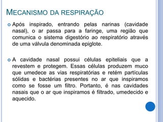 MECANISMO DA RESPIRAÇÃO
 Após inspirado, entrando pelas narinas (cavidade
nasal), o ar passa para a faringe, uma região que
comunica o sistema digestório ao respiratório através
de uma válvula denominada epiglote.
 A cavidade nasal possui células epiteliais que a
revestem e protegem. Essas células produzem muco
que umedece as vias respiratórias e retém partículas
sólidas e bactérias presentes no ar que inspiramos
como se fosse um filtro. Portanto, é nas cavidades
nasais que o ar que inspiramos é filtrado, umedecido e
aquecido.
 