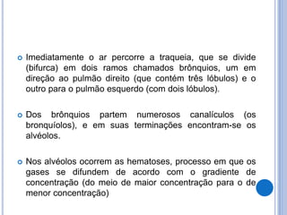  Imediatamente o ar percorre a traqueia, que se divide
(bifurca) em dois ramos chamados brônquios, um em
direção ao pulmão direito (que contém três lóbulos) e o
outro para o pulmão esquerdo (com dois lóbulos).
 Dos brônquios partem numerosos canalículos (os
bronquíolos), e em suas terminações encontram-se os
alvéolos.
 Nos alvéolos ocorrem as hematoses, processo em que os
gases se difundem de acordo com o gradiente de
concentração (do meio de maior concentração para o de
menor concentração)
 