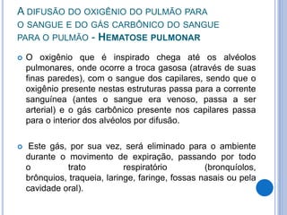 A DIFUSÃO DO OXIGÊNIO DO PULMÃO PARA
O SANGUE E DO GÁS CARBÔNICO DO SANGUE
PARA O PULMÃO - HEMATOSE PULMONAR
 O oxigênio que é inspirado chega até os alvéolos
pulmonares, onde ocorre a troca gasosa (através de suas
finas paredes), com o sangue dos capilares, sendo que o
oxigênio presente nestas estruturas passa para a corrente
sanguínea (antes o sangue era venoso, passa a ser
arterial) e o gás carbônico presente nos capilares passa
para o interior dos alvéolos por difusão.
 Este gás, por sua vez, será eliminado para o ambiente
durante o movimento de expiração, passando por todo
o trato respiratório (bronquíolos,
brônquios, traqueia, laringe, faringe, fossas nasais ou pela
cavidade oral).
 
