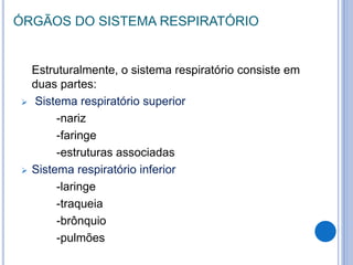 ÓRGÃOS DO SISTEMA RESPIRATÓRIO
Estruturalmente, o sistema respiratório consiste em
duas partes:
 Sistema respiratório superior
-nariz
-faringe
-estruturas associadas
 Sistema respiratório inferior
-laringe
-traqueia
-brônquio
-pulmões
 