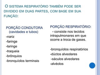 O SISTEMA RESPIRATÓRIO TAMBÉM PODE SER
DIVIDIDO EM DUAS PARTES, COM BASE EM SUA
FUNÇÃO:
PORÇÃO CONDUTORA
(cavidades e tubos)
-nariz
-faringe
-laringe
-traqueia
-brônquios
-bronquíolos terminais
PORÇÃO RESPIRATÓRIO:
• consiste nos tecidos
intrapulmonares em que
ocorre a troca de gases.
-bronquíolos respiratórios
-dúctos alveolares
-sáculos alveolares
-alvéolos
 