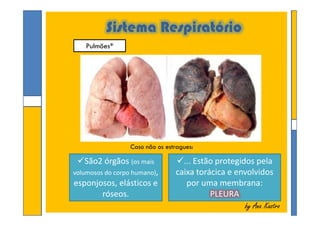 Sistema Respiratório
Pulmões*
by Ana Kastroby Ana Kastro
Caso não os estragues:
São2 órgãos (os mais
volumosos do corpo humano),
esponjosos, elásticos e
róseos.
... Estão protegidos pela
caixa torácica e envolvidos
por uma membrana:
PLEURA
 