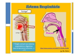 Sistema Respiratório
Faringe*
by Ana Kastroby Ana Kastro
Órgão comum ao sistema
respiratório e digestivo
(pela faringe passam alimentos... e
... ar!)
Laringe
https://www.youtube.com/watch?v=3So8z-Xk4B4
 