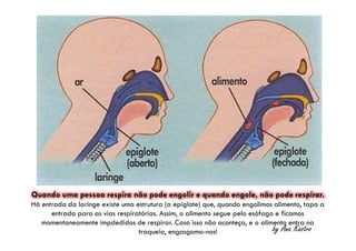 by Ana Kastro
Quando uma pessoa respira não pode engolir e quando engole, não pode respirar.
Há entrada da laringe existe uma estrutura (a epiglote) que, quando engolimos alimento, tapa a
entrada para as vias respiratórias. Assim, o alimento segue pelo esófago e ficamos
momentaneamente impdedidos de respirar. Caso isso não aconteça, e o alimento entra na
traqueia, engasgamo-nos!
 