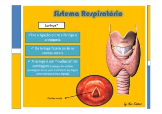 Sistema Respiratório
Laringe*
Faz a ligação entre a faringe e
a traqueia
 Da laringe fazem parte as
cordas vocais
by Ana Kastroby Ana Kastro
 A laringe é um “invólucro” de
cartilagens (asseguram a livre
passagem do ar, pois conferem ao órgao
uma estrutura mais rígida)
Cordas vocais
 