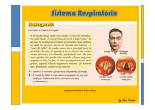 Sistema Respiratório
by Ana Kastroby Ana Kastro
adaptado de Bioterra, Porto Editora
 