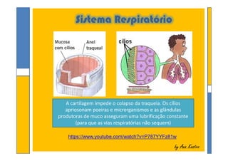 Sistema Respiratório
by Ana Kastroby Ana Kastro
https://www.youtube.com/watch?v=P787YYFz81w
A cartilagem impede o colapso da traqueia. Os cílios
apriosonam poeiras e microrganismos e as glândulas
produtoras de muco asseguram uma lubrificação constante
(para que as vias respiratórias não sequem)
 