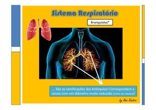 Sistema Respiratório
Bronquíolos*
by Ana Kastroby Ana Kastro
... São as ramificações dos brônquios! Correspondem a
canais com um diâmetro muito reduzido (1mm ou menos)!
 