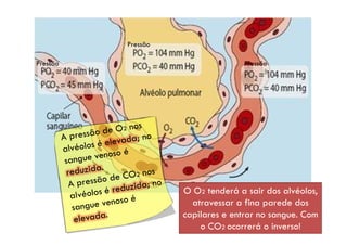 Pressão
Pressão Pressão
by Ana Kastro
O O2 tenderá a sair dos alvéolos,
atravessar a fina parede dos
capilares e entrar no sangue. Com
o CO2 ocorrerá o inverso!
 