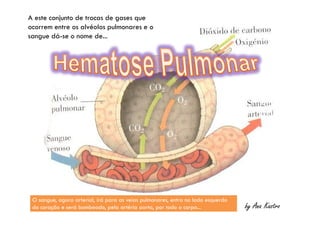 A este conjunto de trocas de gases que
ocorrem entre os alvéolos pulmonares e o
sangue dá-se o nome de...
by Ana Kastro
O sangue, agora arterial, irá para as veias pulmonares, entra no lado esquerdo
do coração e será bombeado, pela artéria aorta, por todo o corpo...
O sangue, agora arterial, irá para as veias pulmonares, entra no lado esquerdo
do coração e será bombeado, pela artéria aorta, por todo o corpo...
 