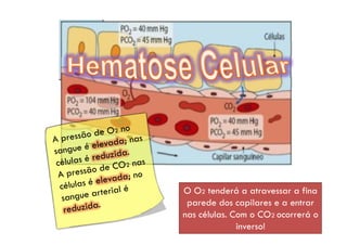by Ana Kastro
O O2 tenderá a atravessar a fina
parede dos capilares e a entrar
nas células. Com o CO2 ocorrerá o
inverso!
 