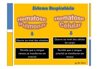 Sistema Respiratório
by Ana Kastroby Ana Kastro
Ocorre ao nível dos alvéolosOcorre ao nível dos alvéolos
Permite que o sangue
venoso se transforme em
arterial
Permite que o sangue
venoso se transforme em
arterial
Ocorre ao nível das células
do corpo
Ocorre ao nível das células
do corpo
Permite que o sangue
arterial se transforme em
venoso
Permite que o sangue
arterial se transforme em
venoso
 