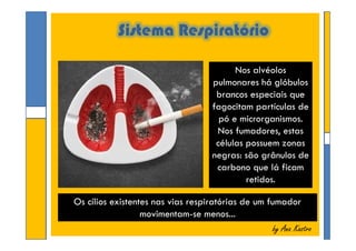Sistema Respiratório
Nos alvéolos
pulmonares há glóbulos
brancos especiais que
fagocitam partículas de
pó e microrganismos.
Nos fumadores, estas
células possuem zonas
negras: são grânulos de
carbono que lá ficam
retidos.
Nos alvéolos
pulmonares há glóbulos
brancos especiais que
fagocitam partículas de
pó e microrganismos.
Nos fumadores, estas
células possuem zonas
negras: são grânulos de
carbono que lá ficam
retidos.
by Ana Kastroby Ana Kastro
Nos alvéolos
pulmonares há glóbulos
brancos especiais que
fagocitam partículas de
pó e microrganismos.
Nos fumadores, estas
células possuem zonas
negras: são grânulos de
carbono que lá ficam
retidos.
Nos alvéolos
pulmonares há glóbulos
brancos especiais que
fagocitam partículas de
pó e microrganismos.
Nos fumadores, estas
células possuem zonas
negras: são grânulos de
carbono que lá ficam
retidos.
Os cílios existentes nas vias respiratórias de um fumador
movimentam-se menos...
Os cílios existentes nas vias respiratórias de um fumador
movimentam-se menos...
 