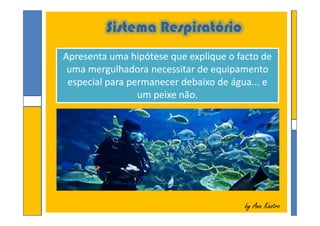 Sistema Respiratório
Apresenta uma hipótese que explique o facto de
uma mergulhadora necessitar de equipamento
especial para permanecer debaixo de água... e
um peixe não.
Apresenta uma hipótese que explique o facto de
uma mergulhadora necessitar de equipamento
especial para permanecer debaixo de água... e
um peixe não.
by Ana Kastroby Ana Kastro
 