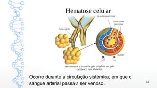 15
Hematose celular
Ocorre durante a circulação sistémica, em que o
sangue arterial passa a ser venoso.
 