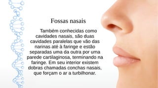 4
Fossas nasais
Também conhecidas como
cavidades nasais, são duas
cavidades paralelas que vão das
narinas até à faringe e estão
separadas uma da outra por uma
parede cartilaginosa, terminando na
faringe. Em seu interior existem
dobras chamadas conchas nasais,
que forçam o ar a turbilhonar.
 