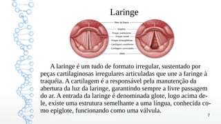7
Laringe
A laringe é um tudo de formato irregular, sustentado por
peças cartilaginosas irregulares articuladas que une a faringe à
traquéia. A cartilagem é a responsável pela manutenção da
abertura da luz da laringe, garantindo sempre a livre passagem
do ar. A entrada da laringe é denominada glote, logo acima de-
le, existe uma estrutura semelhante a uma língua, conhecida co-
mo epiglote, funcionando como uma válvula.
 