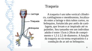 8
Traqueia
A traqueia é um tubo vertical cilíndri-
co, cartilaginoso e membranoso, localiza-
do entre a laringe e dois tubos curtos, os
brônquios, fortalecido por anéis de carti-
lagem, que levam o ar inspirado até os
pulmões. Seu tamanho em um indivíduo
adulto é entre 15cm à 20cm de compri-
mento e 1,5 à 2,5 de diametro. A função
da traqueia no sis-tema respiratório é a
condução do ar até os brônquios.
 