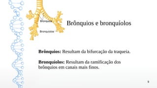 9
Brônquios e bronquíolos
Brônquios: Resultam da bifurcação da traqueia.
Bronquíolos: Resultam da ramificação dos
brônquios em canais mais finos.
 