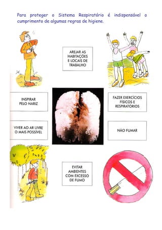 Para proteger o Sistema Respiratório é indispensável o
cumprimento de algumas regras de higiene.
 