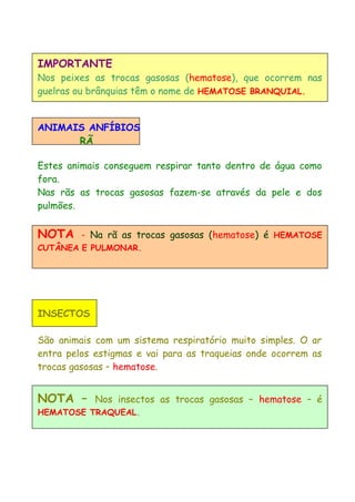 IMPORTANTE
Nos peixes as trocas gasosas (hematose), que ocorrem nas
guelras ou brânquias têm o nome de HEMATOSE BRANQUIAL.
ANIMAIS ANFÍBIOS
RÃ
Estes animais conseguem respirar tanto dentro de água como
fora.
Nas rãs as trocas gasosas fazem-se através da pele e dos
pulmões.
NOTA - Na rã as trocas gasosas (hematose) é HEMATOSE
CUTÂNEA E PULMONAR.
INSECTOS
São animais com um sistema respiratório muito simples. O ar
entra pelos estigmas e vai para as traqueias onde ocorrem as
trocas gasosas – hematose.
NOTA – Nos insectos as trocas gasosas – hematose – é
HEMATOSE TRAQUEAL.
 