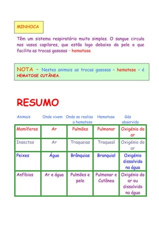 MINHOCA
Têm um sistema respiratório muito simples. O sangue circula
nos vasos capilares, que estão logo debaixo da pele o que
facilita as trocas gasosas – hematose.
NOTA – Nestes animais as trocas gasosas – hematose – é
HEMATOSE CUTÂNEA.
RESUMO
Animais Onde vivem Onde se realiza Hematose Gás
a hematose absorvido
Mamíferos Ar Pulmões Pulmonar Oxigénio do
ar
Insectos Ar Traqueias Traqueal Oxigénio do
ar
Peixes Água Brânquias Branquial Oxigénio
dissolvido
na água
Anfíbios Ar e água Pulmões e
pele
Pulmonar e
Cutânea
Oxigénio do
ar ou
dissolvido
na água
 