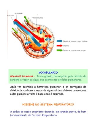 VOCABULÁRIO
HEMATOSE PULMONAR – Troca gasosa, do oxigénio pelo dióxido de
carbono e vapor de água, que ocorre nos alvéolos pulmonares.
Após ter ocorrido a hematose pulmonar, o ar carregado de
dióxido de carbono e vapor de água sai dos alvéolos pulmonares
e dos pulmões e volta à boca onde é expirado.
HIGIENE DO SISTEMA RESPIRATÓRIO
A saúde do nosso organismo depende, em grande parte, do bom
funcionamento do Sistema Respiratório.
 