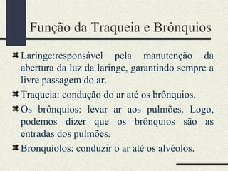 Laringe:responsável pela manutenção da
abertura da luz da laringe, garantindo sempre a
livre passagem do ar.
Traqueia: condução do ar até os brônquios.
Os brônquios: levar ar aos pulmões. Logo,
podemos dizer que os brônquios são as
entradas dos pulmões.
Bronquíolos: conduzir o ar até os alvéolos.
Função da Traqueia e Brônquios
 