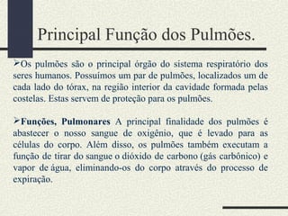 Principal Função dos Pulmões.
Os pulmões são o principal órgão do sistema respiratório dos
seres humanos. Possuímos um par de pulmões, localizados um de
cada lado do tórax, na região interior da cavidade formada pelas
costelas. Estas servem de proteção para os pulmões.
Funções, Pulmonares A principal finalidade dos pulmões é
abastecer o nosso sangue de oxigênio, que é levado para as
células do corpo. Além disso, os pulmões também executam a
função de tirar do sangue o dióxido de carbono (gás carbônico) e
vapor de água, eliminando-os do corpo através do processo de
expiração.
 