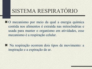 SISTEMA RESPIRATÓRIO
O mecanismo por meio da qual a energia química
contida nos alimentos é extraída nas mitocôndrias e
usada para manter o organismo em atividades, esse
mecanismo é a respiração celular.
Na respiração ocorrem dois tipos de movimento: a
inspiração e a expiração de ar.
 