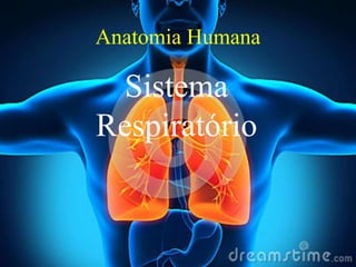 Anatomia Humana
Sistema
Respiratório
 