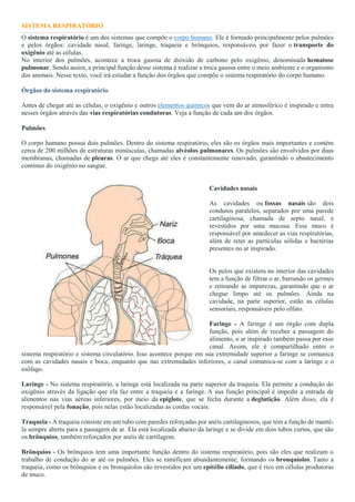 SISTEMA RESPIRATÓRIO
O sistema respiratório é um dos sistemas que compõe o corpo humano. Ele é formado principalmente pelos pulmões
e pelos órgãos: cavidade nasal, faringe, laringe, traqueia e brônquios, responsáveis por fazer o transporte do
oxigênio até as células.
No interior dos pulmões, acontece a troca gasosa de dióxido de carbono pelo oxigênio, denominada hematose
pulmonar. Sendo assim, a principal função desse sistema é realizar a troca gasosa entre o meio ambiente e o organismo
dos animais. Nesse texto, você irá estudar a função dos órgãos que compõe o sistema respiratório do corpo humano.
Órgãos do sistema respiratório
Antes de chegar até as células, o oxigênio e outros elementos químicos que vem do ar atmosférico é inspirado e entra
nesses órgãos através das vias respiratórias condutoras. Veja a função de cada um dos órgãos.
Pulmões
O corpo humano possui dois pulmões. Dentro do sistema respiratório, eles são os órgãos mais importantes e contém
cerca de 200 milhões de estruturas minúsculas, chamadas alvéolos pulmonares. Os pulmões são envolvidos por duas
membranas, chamadas de pleuras. O ar que chega até eles é constantemente renovado, garantindo o abastecimento
contínuo do oxigênio no sangue.
Cavidades nasais
As cavidades ou fossas nasais são dois
condutos paralelos, separados por uma parede
cartilaginosa, chamada de septo nasal, e
revestidos por uma mucosa. Esse muco é
responsável por umedecer as vias respiratórias,
além de reter as partículas sólidas e bactérias
presentes no ar inspirado.
Os pelos que existem no interior das cavidades
tem a função de filtrar o ar, barrando os germes
e retirando as impurezas, garantindo que o ar
chegue limpo até os pulmões. Ainda na
cavidade, na parte superior, estão as células
sensoriais, responsáveis pelo olfato.
Faringe - A faringe é um órgão com dupla
função, pois além de receber a passagem do
alimento, o ar inspirado também passa por esse
canal. Assim, ele é compartilhado entre o
sistema respiratório e sistema circulatório. Isso acontece porque em sua extremidade superior a faringe se comunica
com as cavidades nasais e boca, enquanto que nas extremidades inferiores, o canal comunica-se com a laringe e o
esôfago.
Laringe - No sistema respiratório, a laringe está localizada na parte superior da traqueia. Ela permite a condução do
oxigênio através da ligação que ela faz entre a traqueia e a faringe. A sua função principal é impedir a entrada de
alimentos nas vias aéreas inferiores, por meio da epiglote, que se fecha durante a deglutição. Além disso, ela é
responsável pela fonação, pois nelas estão localizadas as cordas vocais.
Traqueia - A traqueia consiste em um tubo com paredes reforçadas por anéis cartilaginosos, que tem a função de mantê-
la sempre aberta para a passagem de ar. Ela está localizada abaixo da laringe e se divide em dois tubos curtos, que são
os brônquios, também reforçados por anéis de cartilagem.
Brônquios - Os brônquios tem uma importante função dentro do sistema respiratório, pois são eles que realizam o
trabalho de condução do ar até os pulmões. Eles se ramificam abundantemente, formando os bronquíolos. Tanto a
traqueia, como os brônquios e os bronquíolos são revestidos por um epitélio ciliado, que é rico em células produtoras
de muco.
 