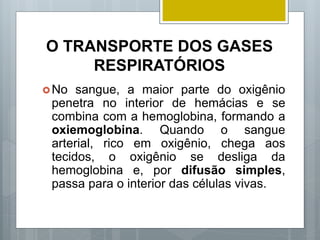 O TRANSPORTE DOS GASES
RESPIRATÓRIOS
No sangue, a maior parte do oxigênio
penetra no interior de hemácias e se
combina com a hemoglobina, formando a
oxiemoglobina. Quando o sangue
arterial, rico em oxigênio, chega aos
tecidos, o oxigênio se desliga da
hemoglobina e, por difusão simples,
passa para o interior das células vivas.
 