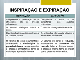 INSPIRAÇÃO E EXPIRAÇÃO
INSPIRAÇÃO EXPIRAÇÃO
Compreende a penetração do ar
atmosférico até os alvéolos
pulmonares.
Compreende a saída do ar
atmosférico dos alvéolos
pulmonares.
O músculo diafragma contrai e
desce.
O músculo diafragma relaxa e sobe.
Os músculos intercostais contraem e
as costelas sobem.
Os músculos intercostais relaxam e
as costelas “abaixam-se”.
O volume do tórax é aumentado,
acarretando a diminuição da
pressão interna; dessa maneira,
a pressão atmosférica torna-se
maior que a pressão interna.
O volume do tórax é reduzido,
acarretando o aumento da
pressão interna; dessa maneira,
a pressão interna torna-se maior
que a pressão atmosférica.
 