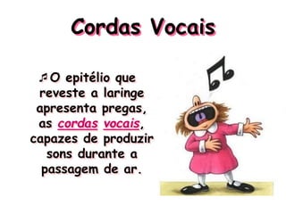 Cordas Vocais
O epitélio que
reveste a laringe
apresenta pregas,
as cordas vocais,
capazes de produzir
sons durante a
passagem de ar.
 