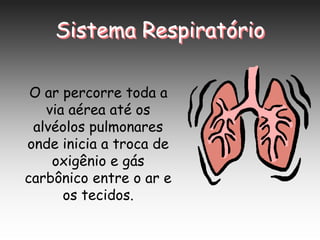 Sistema Respiratório
O ar percorre toda a
via aérea até os
alvéolos pulmonares
onde inicia a troca de
oxigênio e gás
carbônico entre o ar e
os tecidos.
 