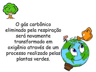 O gás carbônico
eliminado pela respiração
será novamente
transformado em
oxigênio através de um
processo realizado pelas
plantas verdes.
 