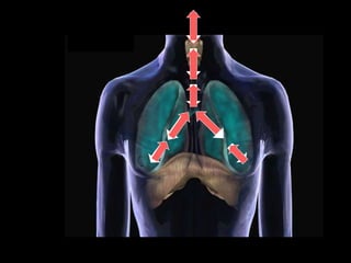 SISTEMA RESPIRATÓRIO.pptx