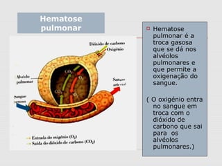 Hematose
pulmonar  Hematose
pulmonar é a
troca gasosa
que se dá nos
alvéolos
pulmonares e
que permite a
oxigenação do
sangue.
( O oxigénio entra
no sangue em
troca com o
dióxido de
carbono que sai
para os
alvéolos
pulmonares.)
 
