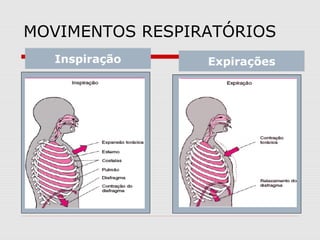 MOVIMENTOS RESPIRATÓRIOS
Inspiração Expirações
 