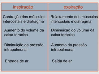 inspiração expiração
Contração dos músculos
intercostais e diafragma
Aumento do volume da
caixa torácica
Diminuição da pressão
intrapulmonar
Entrada de ar
Relaxamento dos músculos
intercostais e diafragma
Diminuição do volume da
caixa torácica
Aumento da pressão
intrapulmonar
Saída de ar
 