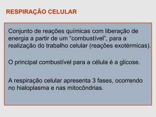 RESPIRAÇÃO CELULAR
Conjunto de reações químicas com liberação de
energia a partir de um “combustível”, para a
realização do trabalho celular (reações exotérmicas).
O principal combustível para a célula é a glicose.
A respiração celular apresenta 3 fases, ocorrendo
no hialoplasma e nas mitocôndrias.
 