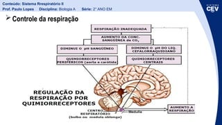 Trio Rrt Comprehensive Overview of the Human Respiratory System and Gas ...