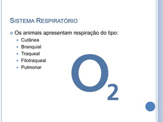 SISTEMA RESPIRATÓRIO
   Os animais apresentam respiração do tipo:
       Cutânea
       Branquial
       Traqueal
       Filotraqueal
       Pulmonar
 