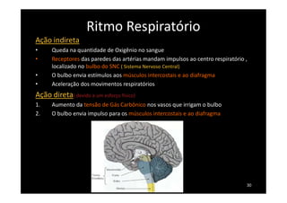 Ritmo Respiratório
Ação indireta
• Queda na quantidade de Oxigênio no sangue
• Receptores das paredes das artérias mandam impulsos ao centro respiratório ,
localizado no bulbo do SNC ( Sistema Nervoso Central)
• O bulbo envia estímulos aos músculos intercostais e ao diafragma
• Aceleração dos movimentos respiratórios
Ação direta( devido a um esforço físico)
1. Aumento da tensão de Gás Carbônico nos vasos que irrigam o bulbo
2. O bulbo envia impulso para os músculos intercostais e ao diafragma
30
 