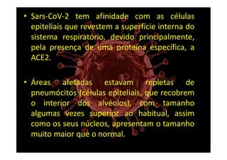 • Sars-CoV-2 tem afinidade com as células
epiteliais que revestem a superfície interna do
sistema respiratório, devido principalmente,
pela presença de uma proteína específica, a
ACE2.
• Áreas afetadas estavam repletas de
pneumócitos (células epiteliais, que recobrem
o interior dos alvéolos), com tamanho
algumas vezes superior ao habitual, assim
como os seus núcleos, apresentam o tamanho
muito maior que o normal.
 