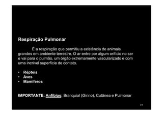 41
Respiração Pulmonar
É a respiração que permitiu a existência de animais
grandes em ambiente terrestre. O ar entre por algum orifício no ser
e vai para o pulmão, um órgão extremamente vascularizado e com
uma incrível superfície de contato.
• Répteis
• Aves
• Mamíferos
IMPORTANTE: Anfíbios: Branquial (Girino), Cutânea e Pulmonar
 