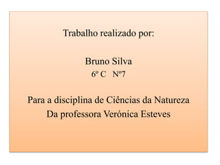 Trabalho realizado por:
Bruno Silva
6º C Nº7
Para a disciplina de Ciências da Natureza
Da professora Verónica Esteves
 