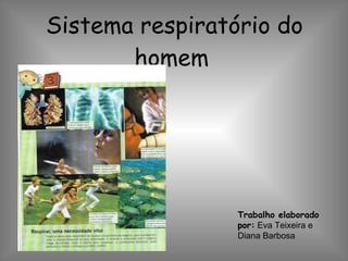 Sistema respiratório do homem   Trabalho elaborado por:  Eva Teixeira e Diana Barbosa 