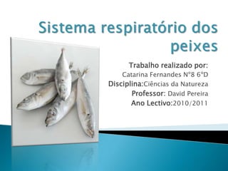 Sistema respiratório dos peixes Trabalho realizado por:  Catarina Fernandes Nº8 6ºD Disciplina:Ciências da Natureza Professor: David Pereira Ano Lectivo:2010/2011 